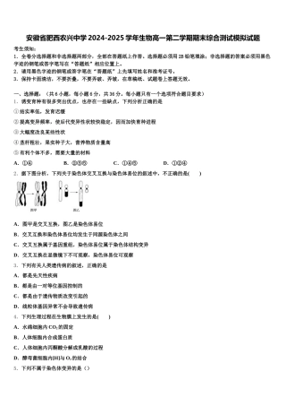 安徽省肥西农兴中学2024-2025学年生物高一第二学期期末综合测试模拟试题含解析