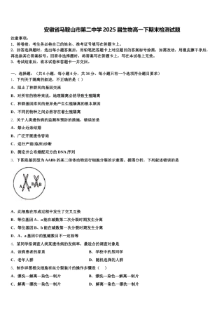 安徽省马鞍山市第二中学2025届生物高一下期末检测试题含解析