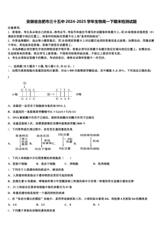 安徽省合肥市三十五中2024-2025学年生物高一下期末检测试题含解析