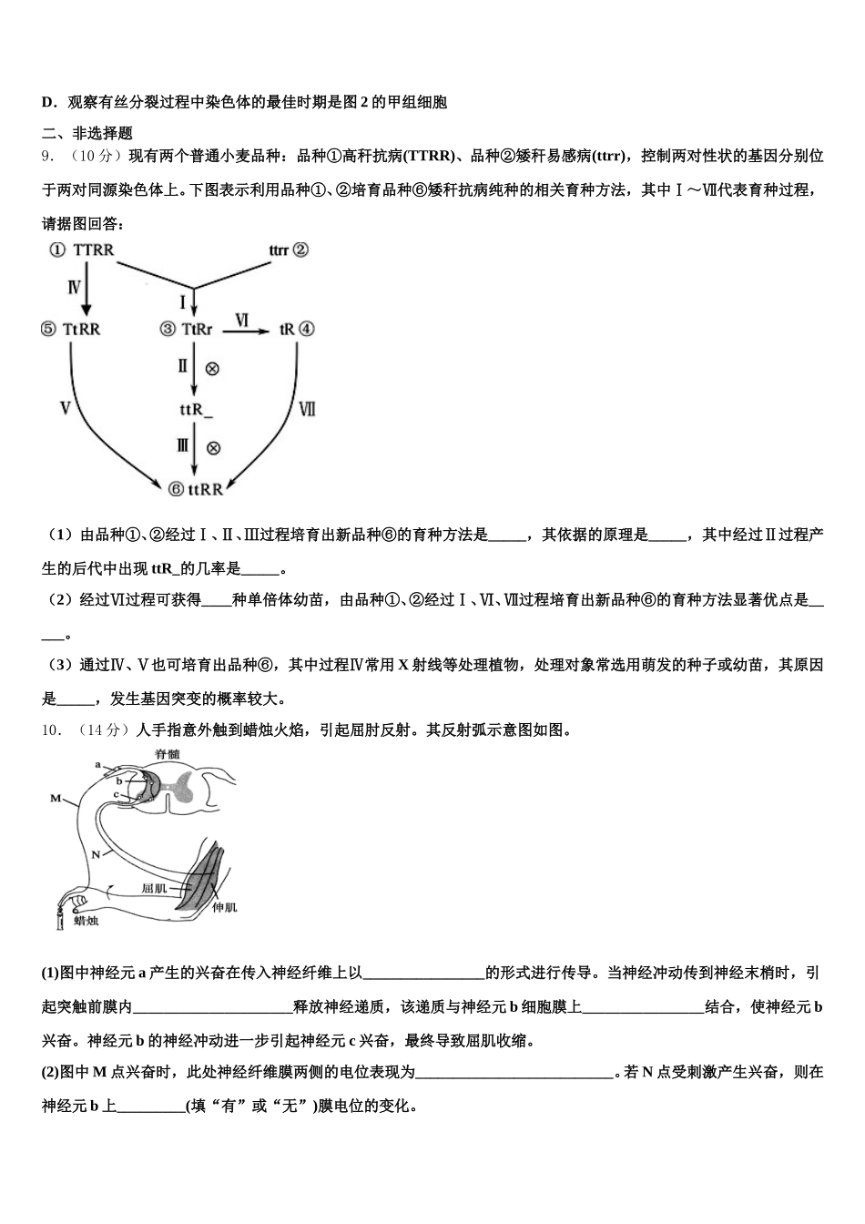 2025年安徽省滁州市南桥区海亮学校高一下生物期末检测试题含解析_第3页