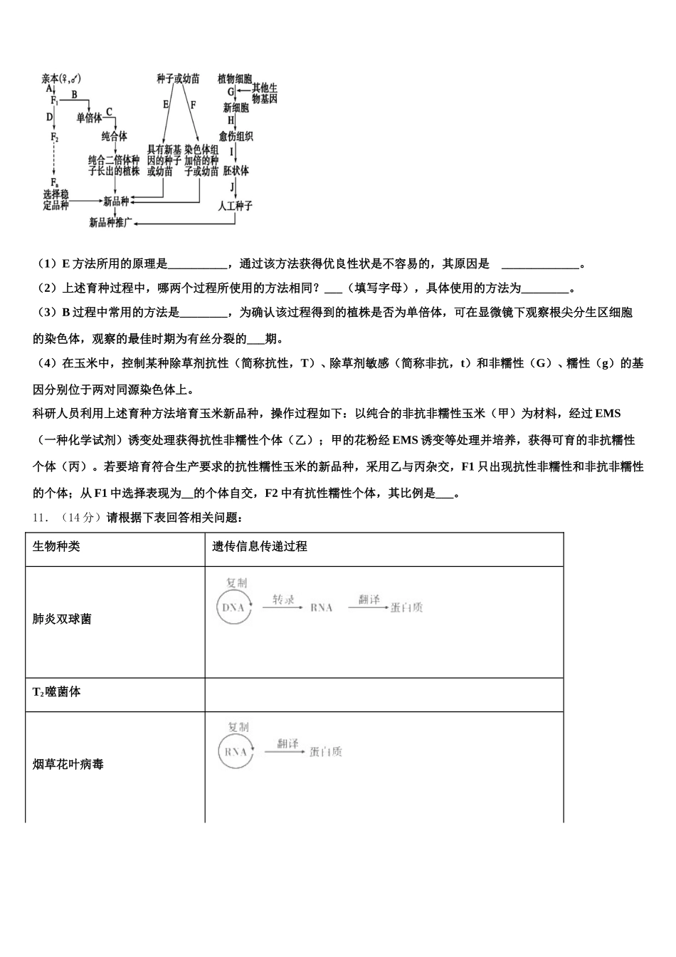 2025届安徽省安庆一中安师大附中铜陵一中马鞍山二中高一下生物期末检测试题含解析_第3页