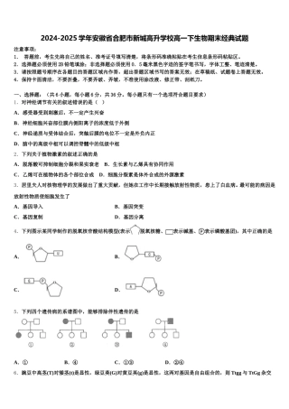 2024-2025学年安徽省合肥市新城高升学校高一下生物期末经典试题含解析