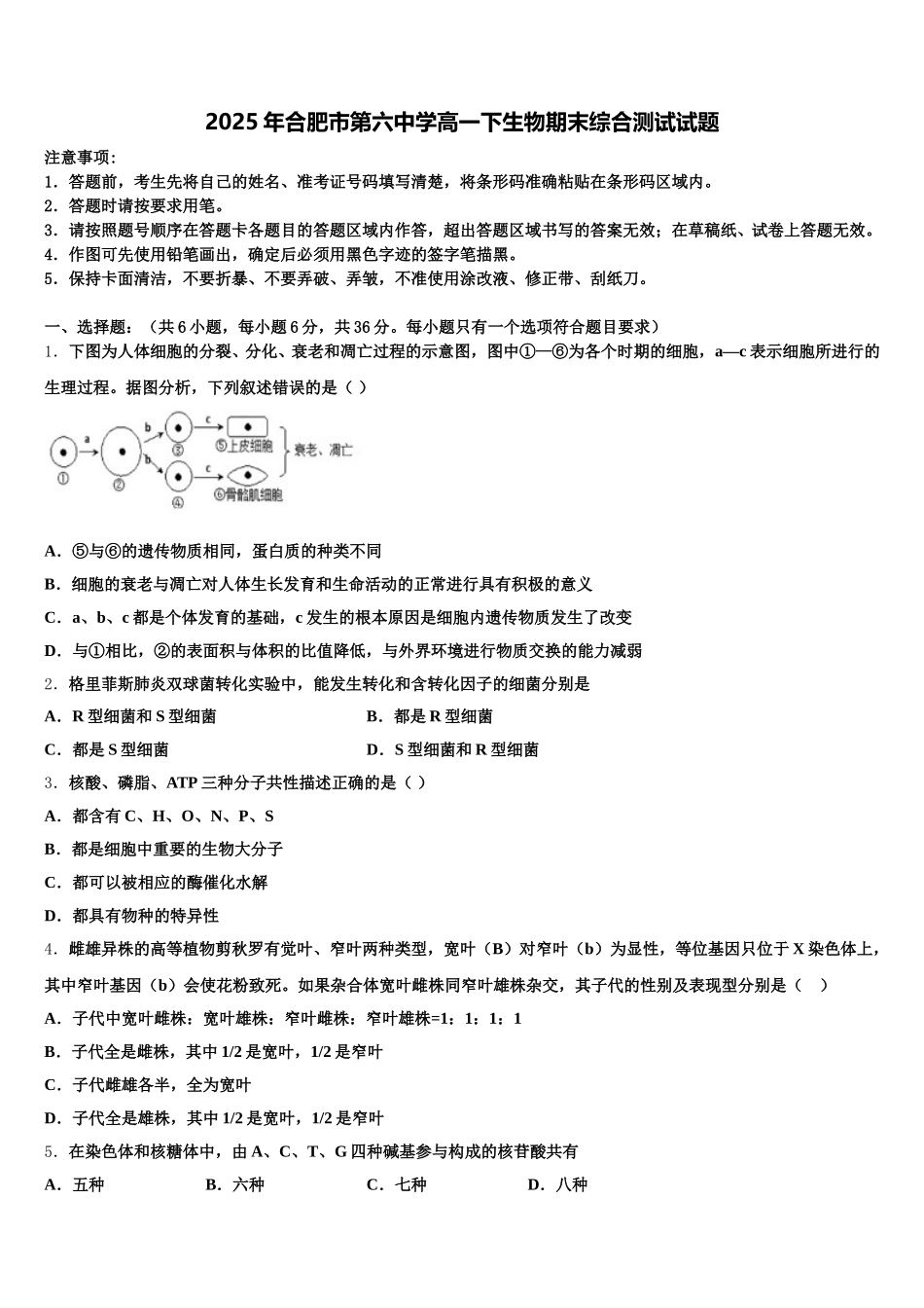 2025年合肥市第六中学高一下生物期末综合测试试题含解析_第1页