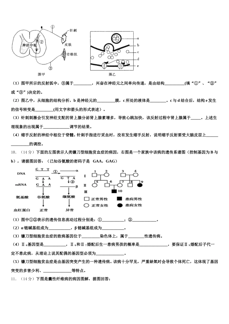 安徽省皖江联盟2025届生物高一下期末达标检测模拟试题含解析_第3页
