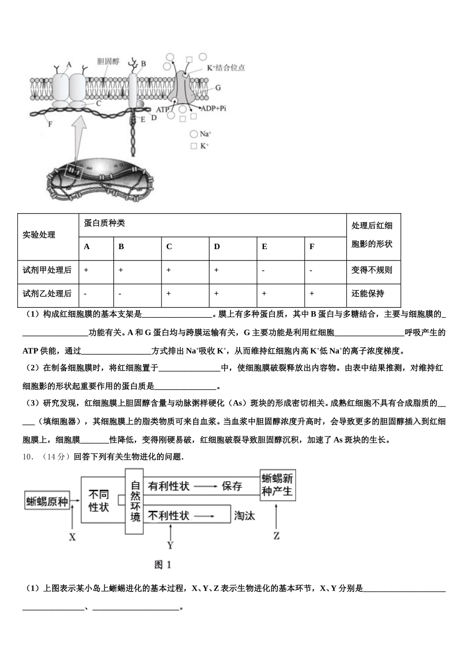 安徽省阜阳市2025届生物高一第二学期期末综合测试模拟试题含解析_第3页