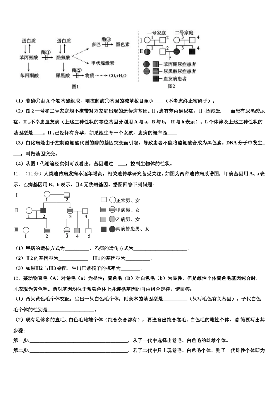 安徽省界首市界首中学2025年高一生物第二学期期末联考试题含解析_第3页