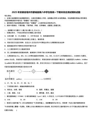 2025年安徽省亳州市蒙城县第八中学生物高一下期末综合测试模拟试题含解析