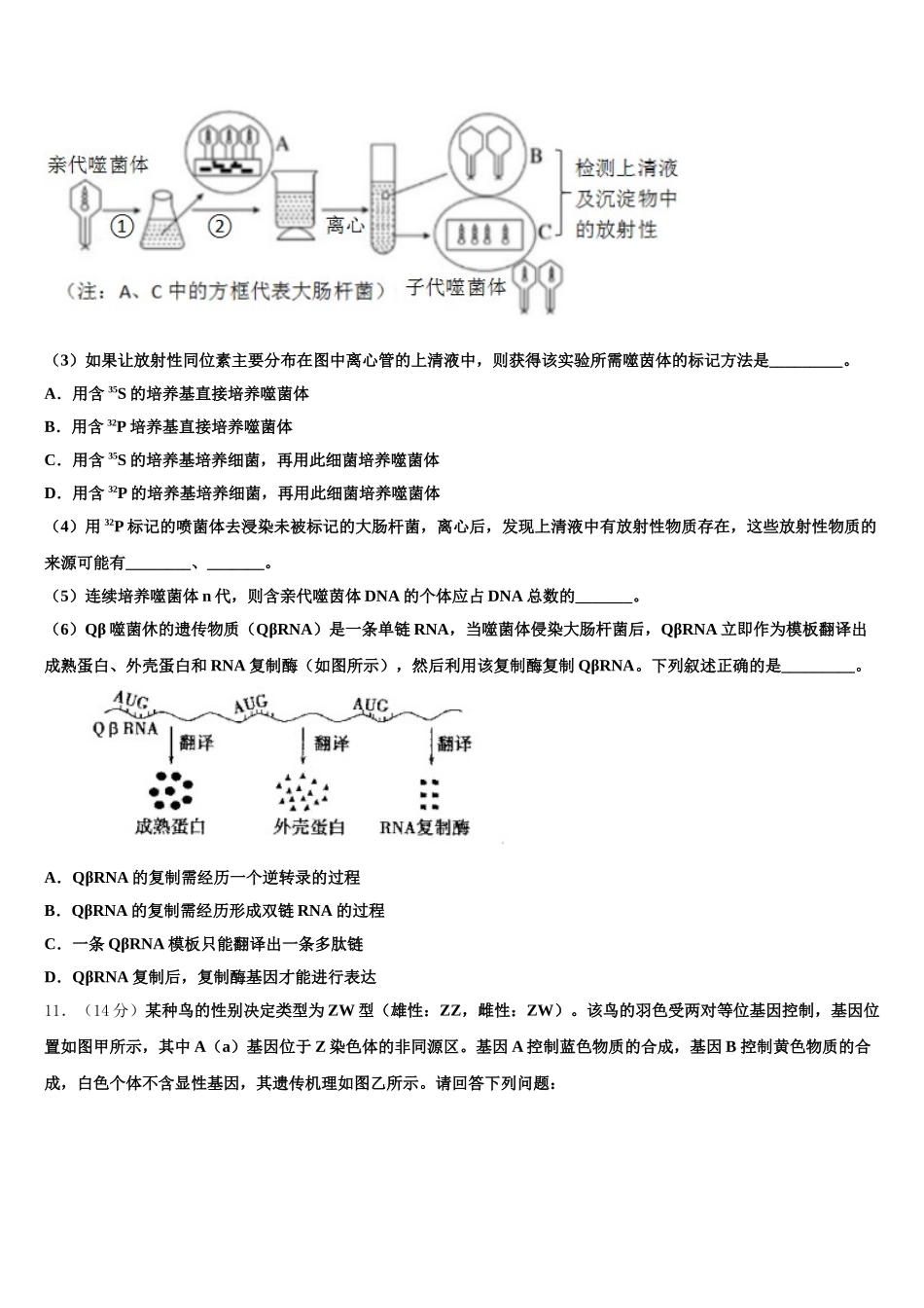 江西省宁都县宁师中学2024-2025学年高一下生物期末达标测试试题含解析_第3页