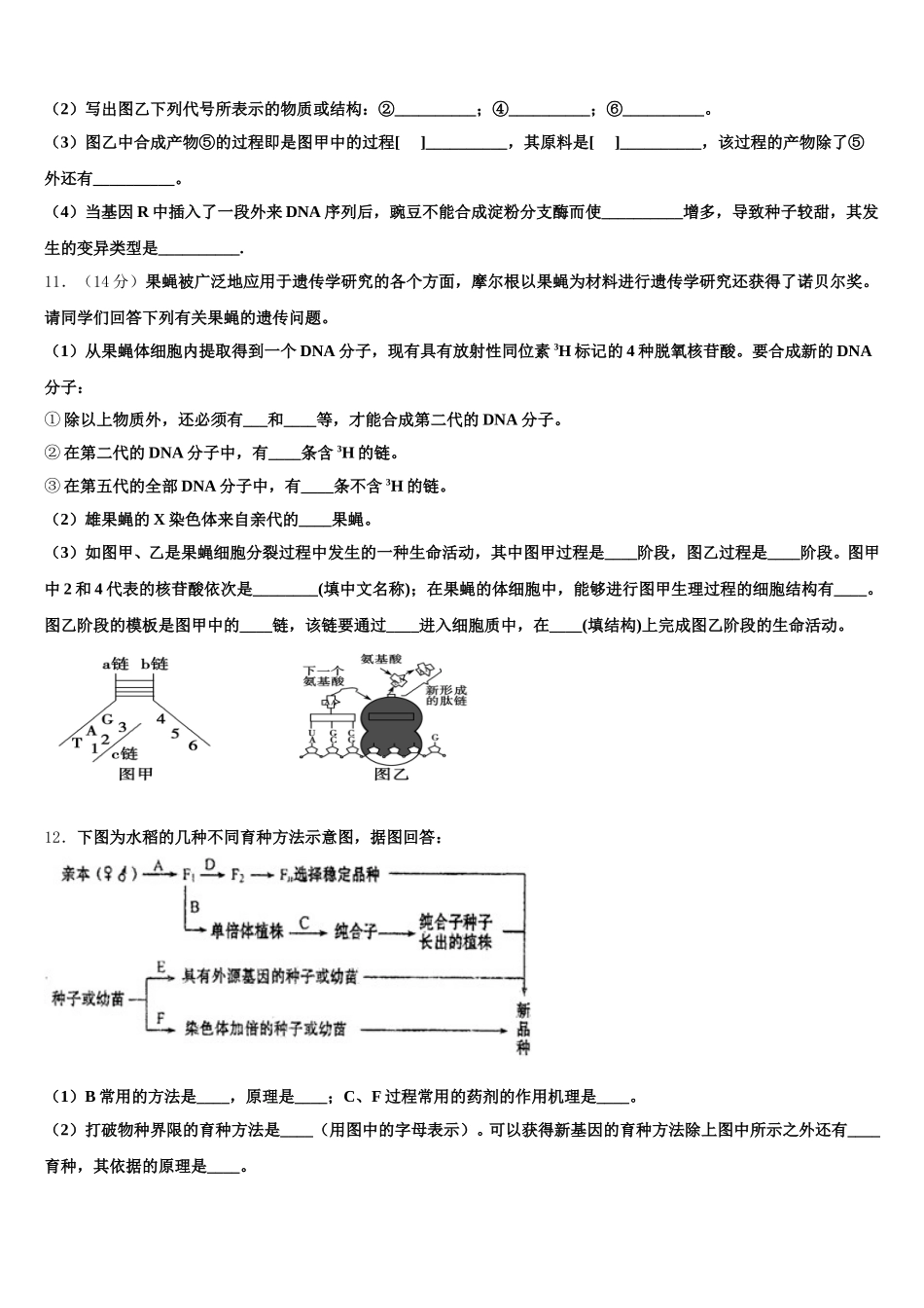 江西省会昌中学与宁师中学2025届高一下生物期末检测模拟试题含解析_第3页