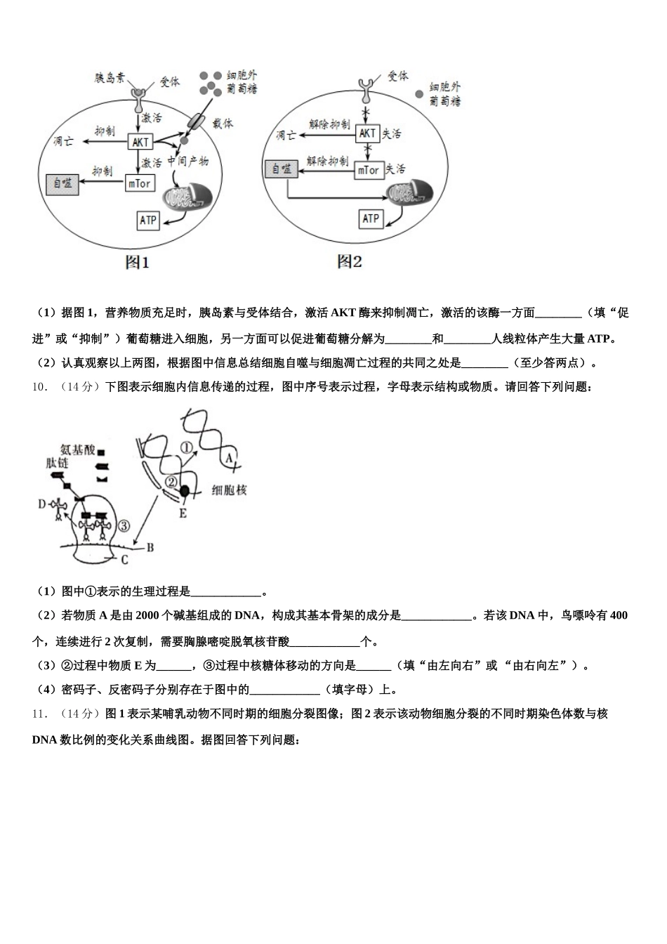 江西赣州市五校协作体2024-2025学年高一生物第二学期期末监测试题含解析_第3页