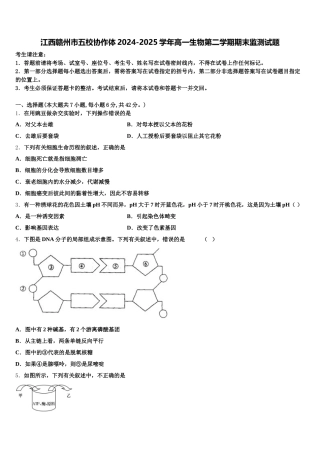 江西赣州市五校协作体2024-2025学年高一生物第二学期期末监测试题含解析