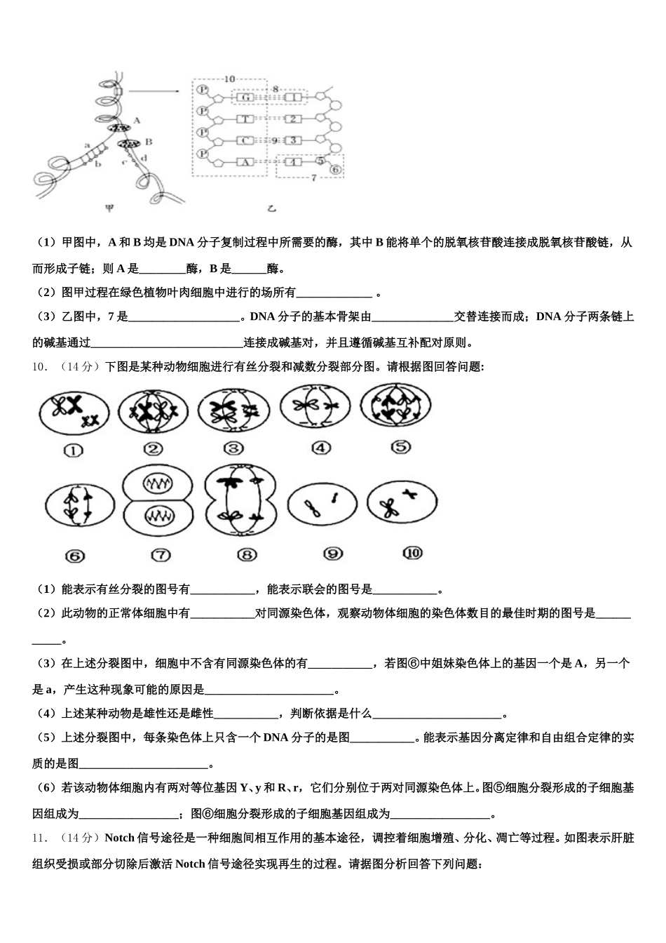 江西抚州七校联考2024-2025学年高一生物第二学期期末统考试题含解析_第3页