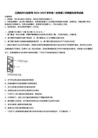江西抚州七校联考2024-2025学年高一生物第二学期期末统考试题含解析