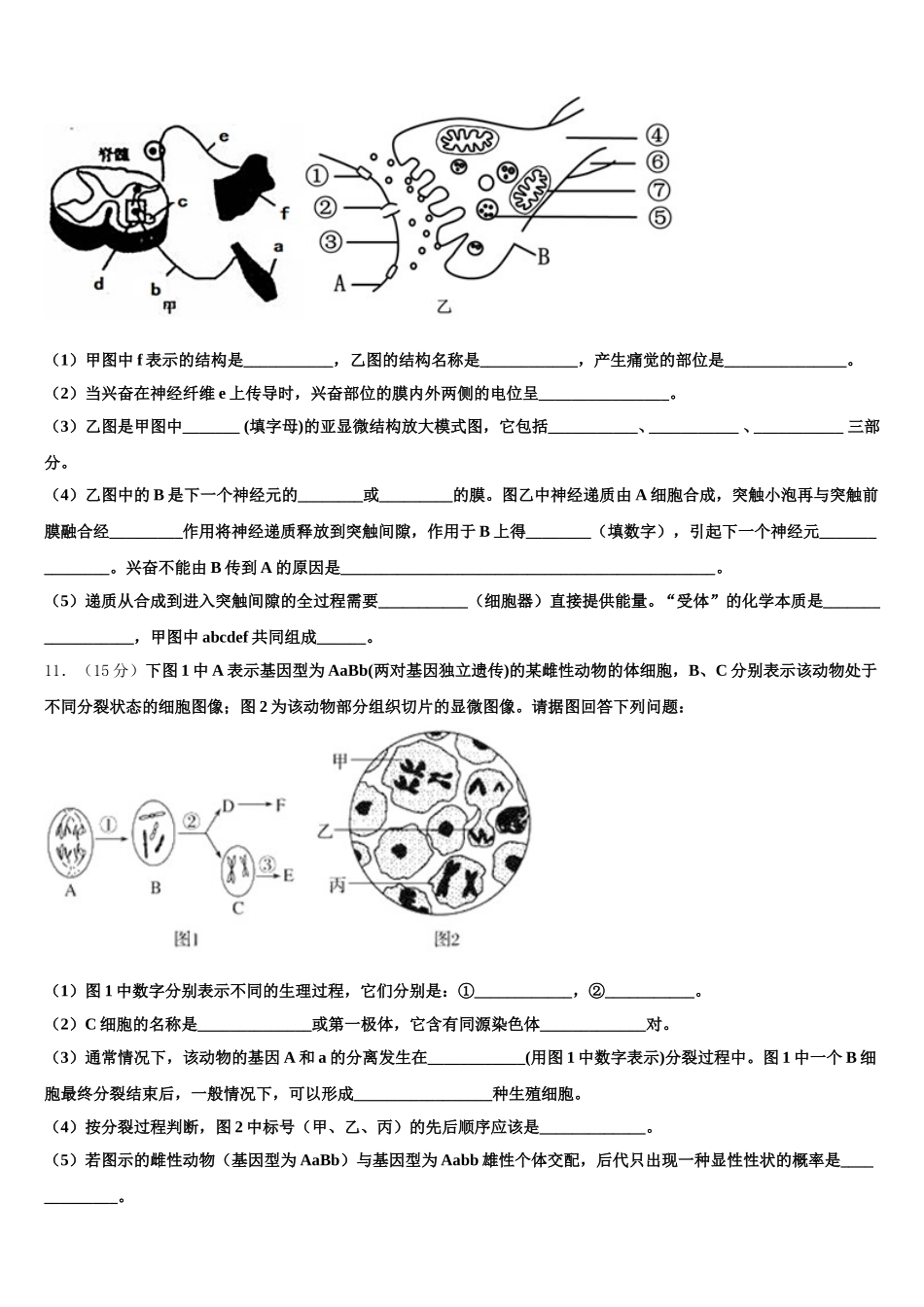 江西省赣州市南康三中、兴国一中2025年高一下生物期末调研模拟试题含解析_第3页