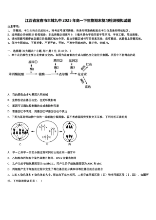 江西省宜春市丰城九中2025年高一下生物期末复习检测模拟试题含解析