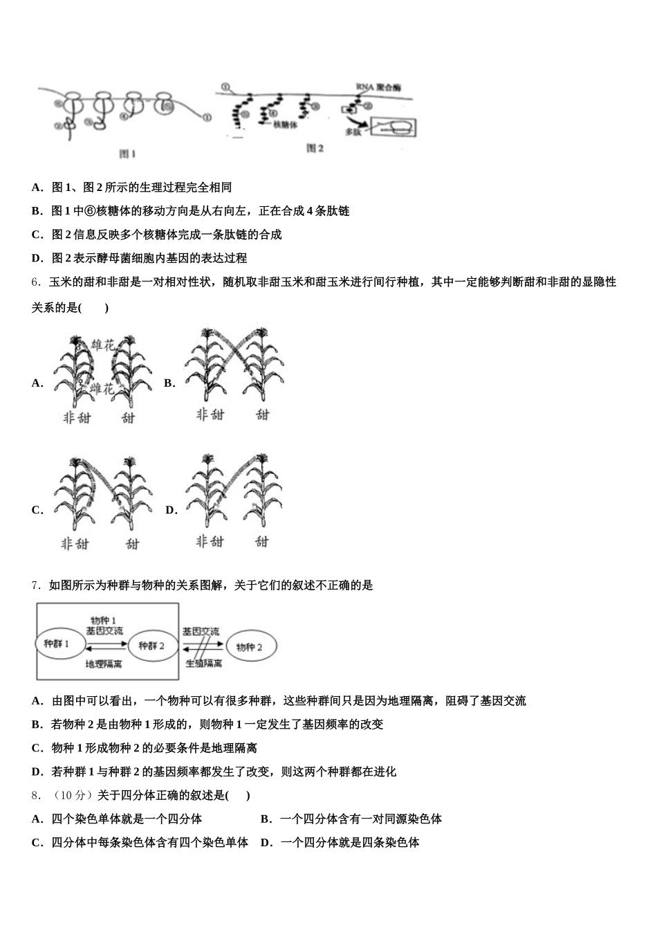 江西省南昌市新建县一中2025年高一下生物期末经典试题含解析_第2页