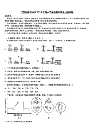 江西省靖安中学2025年高一下生物期末质量检测试题含解析