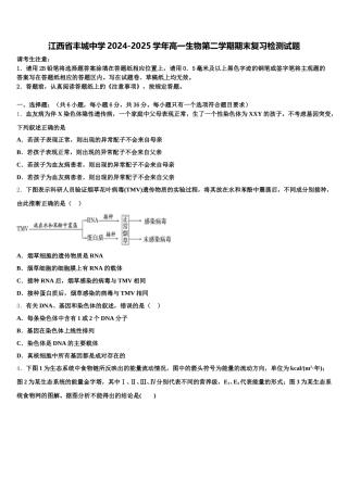 江西省丰城中学2024-2025学年高一生物第二学期期末复习检测试题含解析