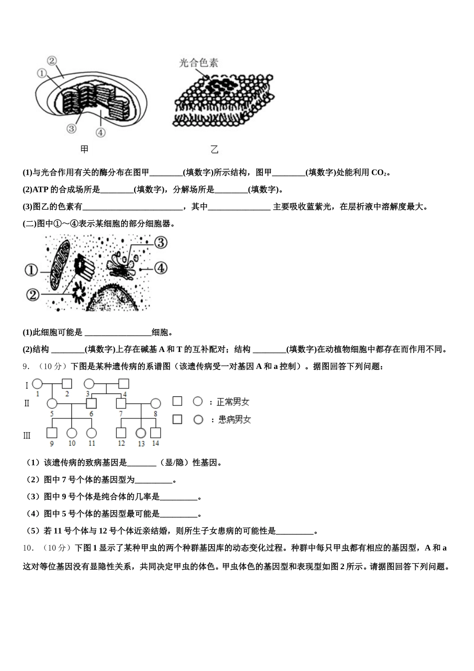 江西省南城县二中2024-2025学年高一下生物期末考试模拟试题含解析_第3页