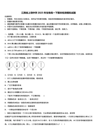 江西省上饶中学2025年生物高一下期末检测模拟试题含解析