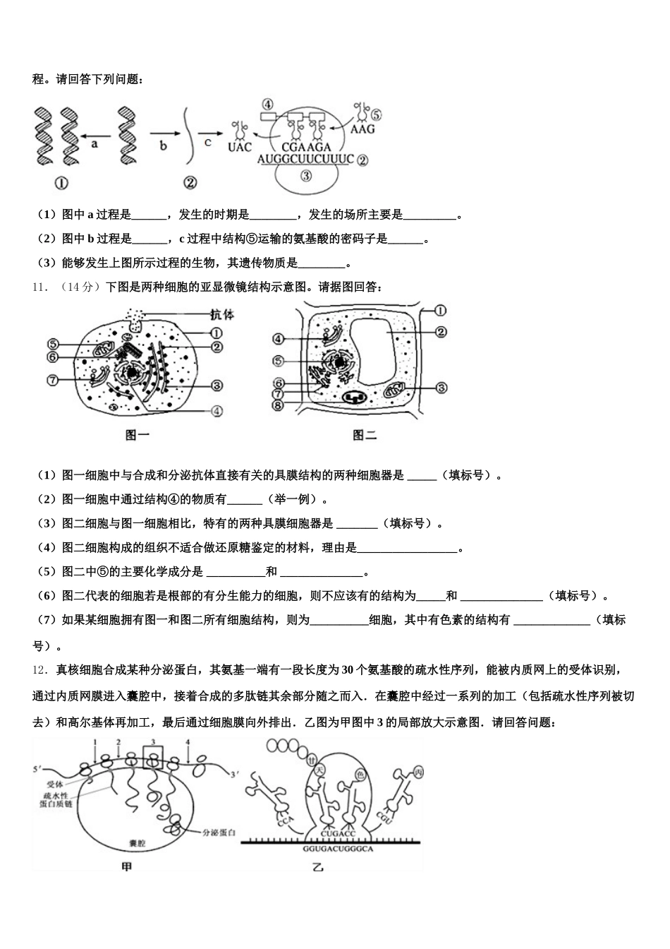 江西省南昌市东湖区南昌十中2025届生物高一下期末复习检测模拟试题含解析_第3页