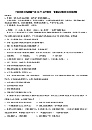 江西省赣州市赣县三中2025年生物高一下期末达标检测模拟试题含解析