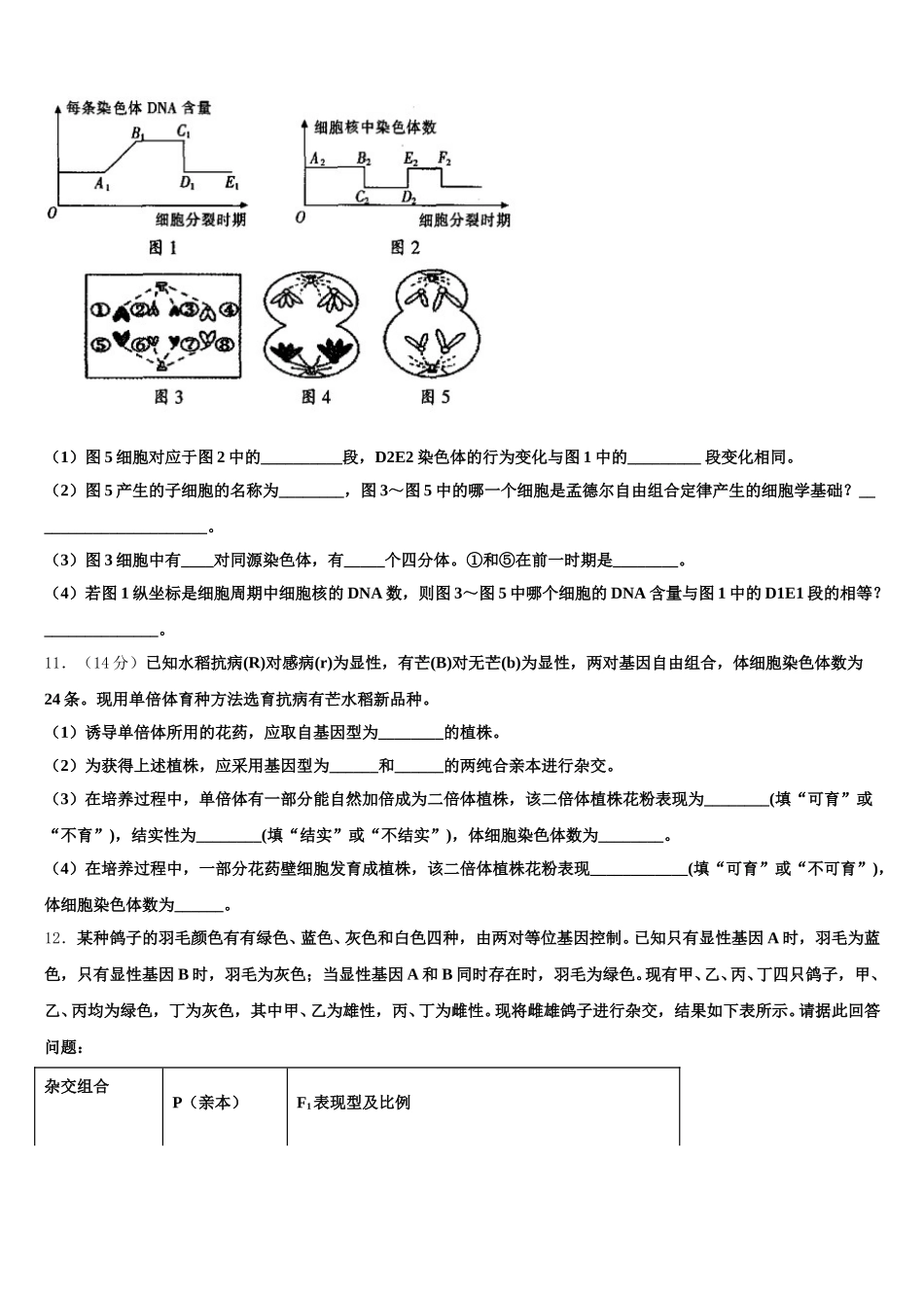 2025届江西省重点中学高一生物第二学期期末学业水平测试模拟试题含解析_第3页
