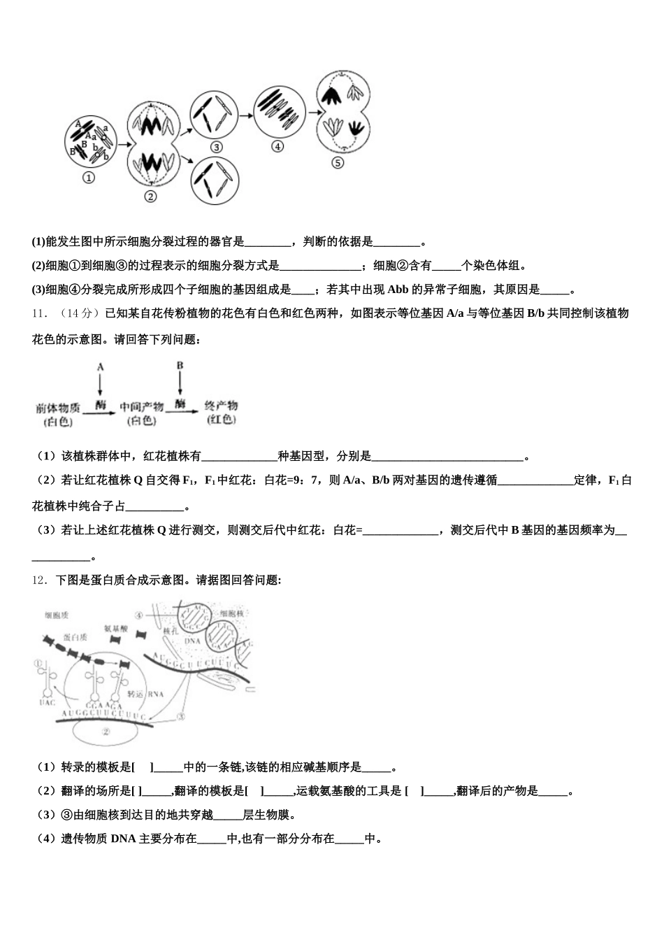 江西省赣州市会昌县2025年高一下生物期末联考模拟试题含解析_第3页
