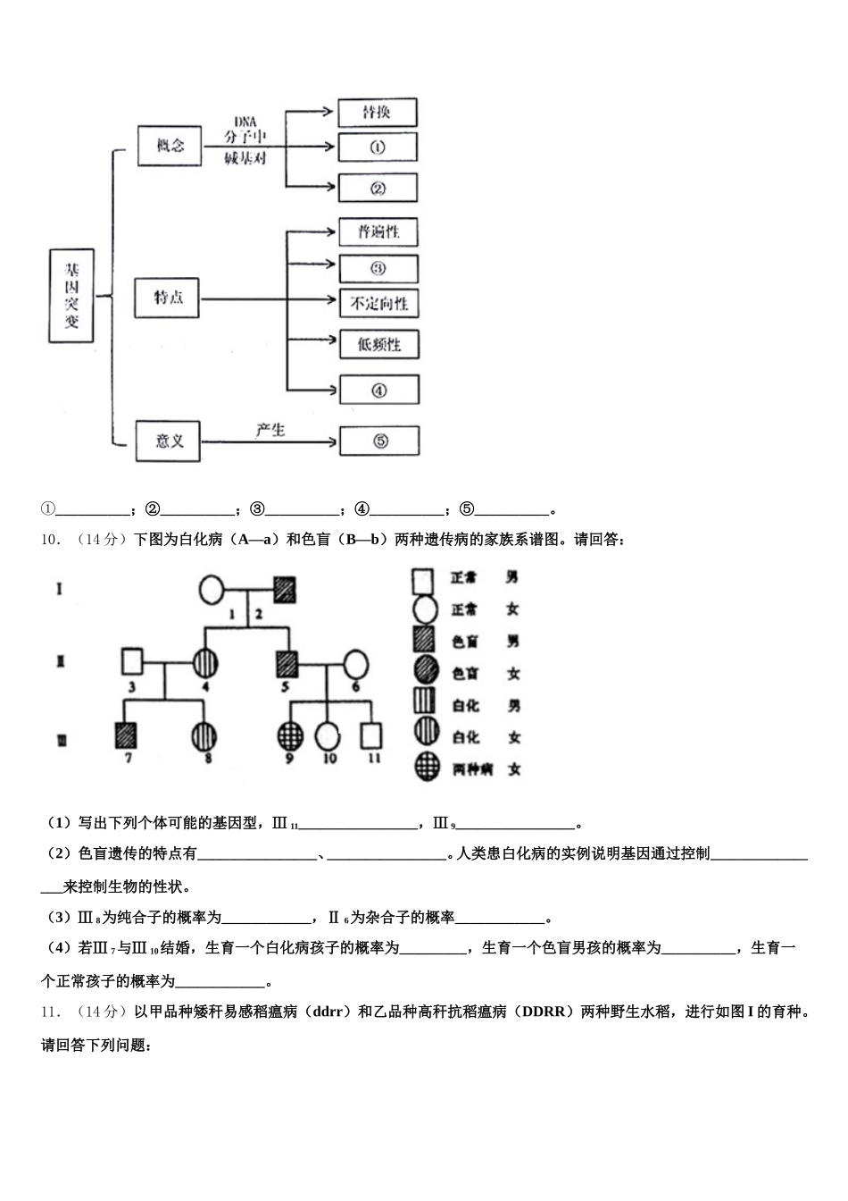 2025年江西省重点中学盟校生物高一第二学期期末考试试题含解析_第3页