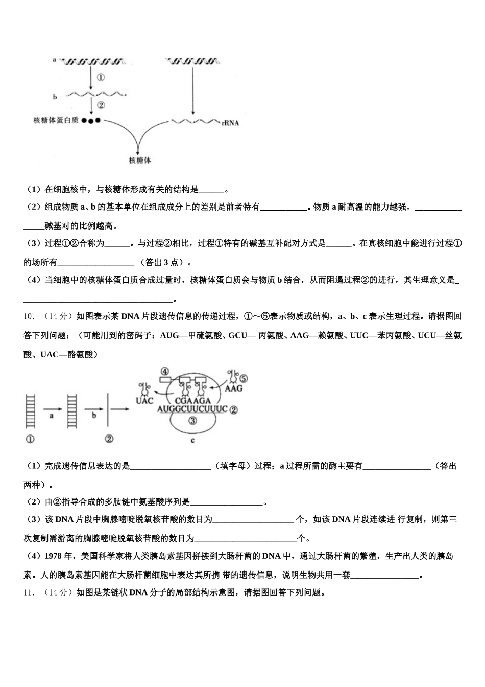 2024-2025学年江西省鄱阳县第二中学高一生物第二学期期末综合测试试题含解析_第3页