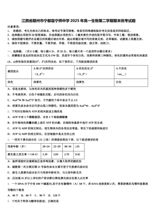 江西省赣州市宁都县宁师中学2025年高一生物第二学期期末统考试题含解析