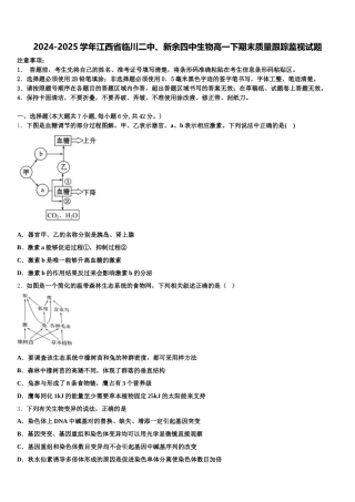 2024-2025学年江西省临川二中、新余四中生物高一下期末质量跟踪监视试题含解析