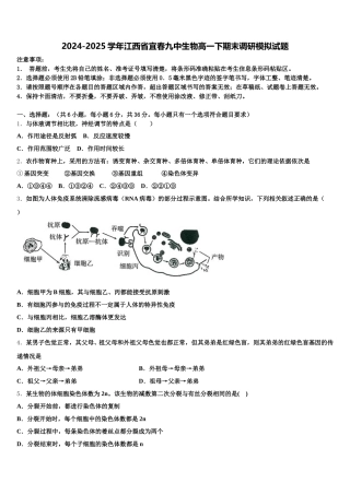 2024-2025学年江西省宜春九中生物高一下期末调研模拟试题含解析