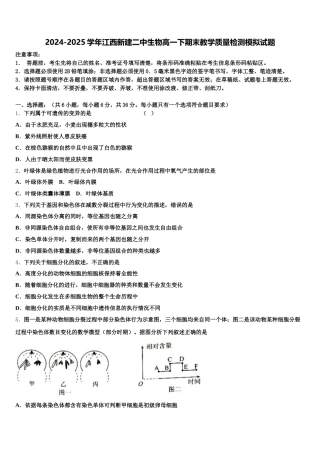 2024-2025学年江西新建二中生物高一下期末教学质量检测模拟试题含解析