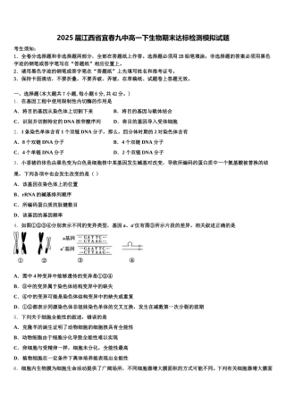 2025届江西省宜春九中高一下生物期末达标检测模拟试题含解析