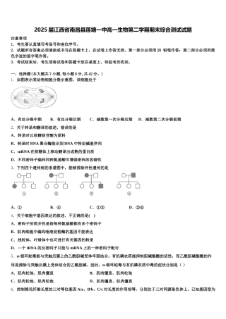 2025届江西省南昌县莲塘一中高一生物第二学期期末综合测试试题含解析
