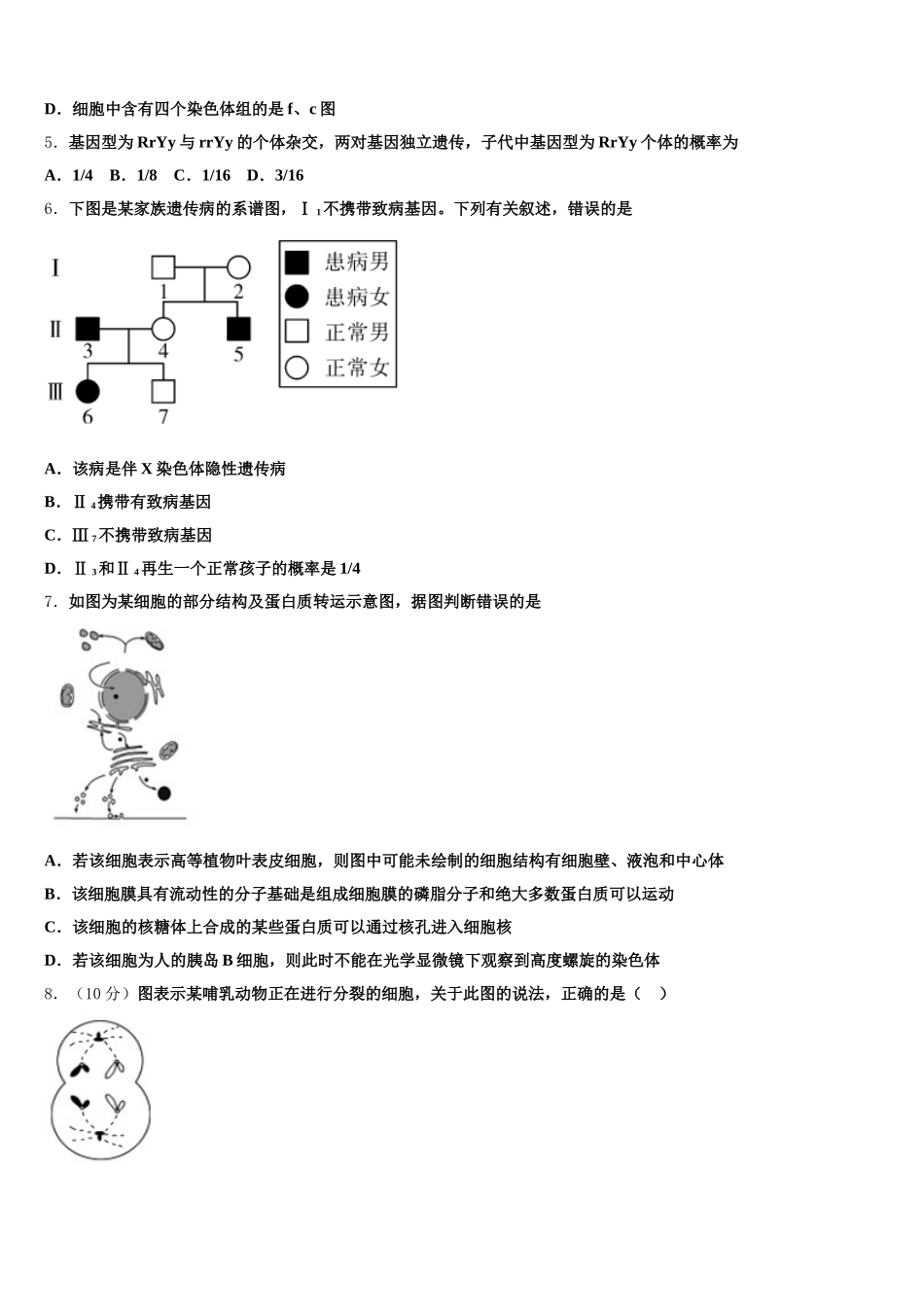 2025年江西省南昌市第一中学生物高一第二学期期末教学质量检测试题含解析_第2页