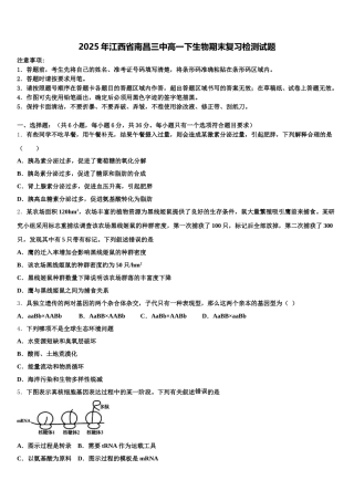 2025年江西省南昌三中高一下生物期末复习检测试题含解析