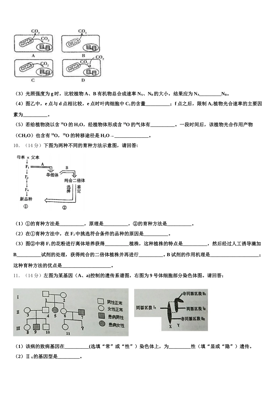 2024-2025学年江西省临川市高一下生物期末质量检测试题含解析_第3页