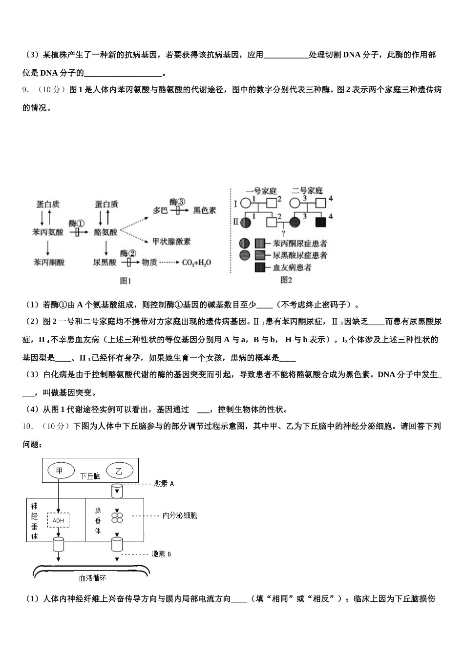 临川一中实验学校2025年生物高一下期末考试模拟试题含解析_第3页
