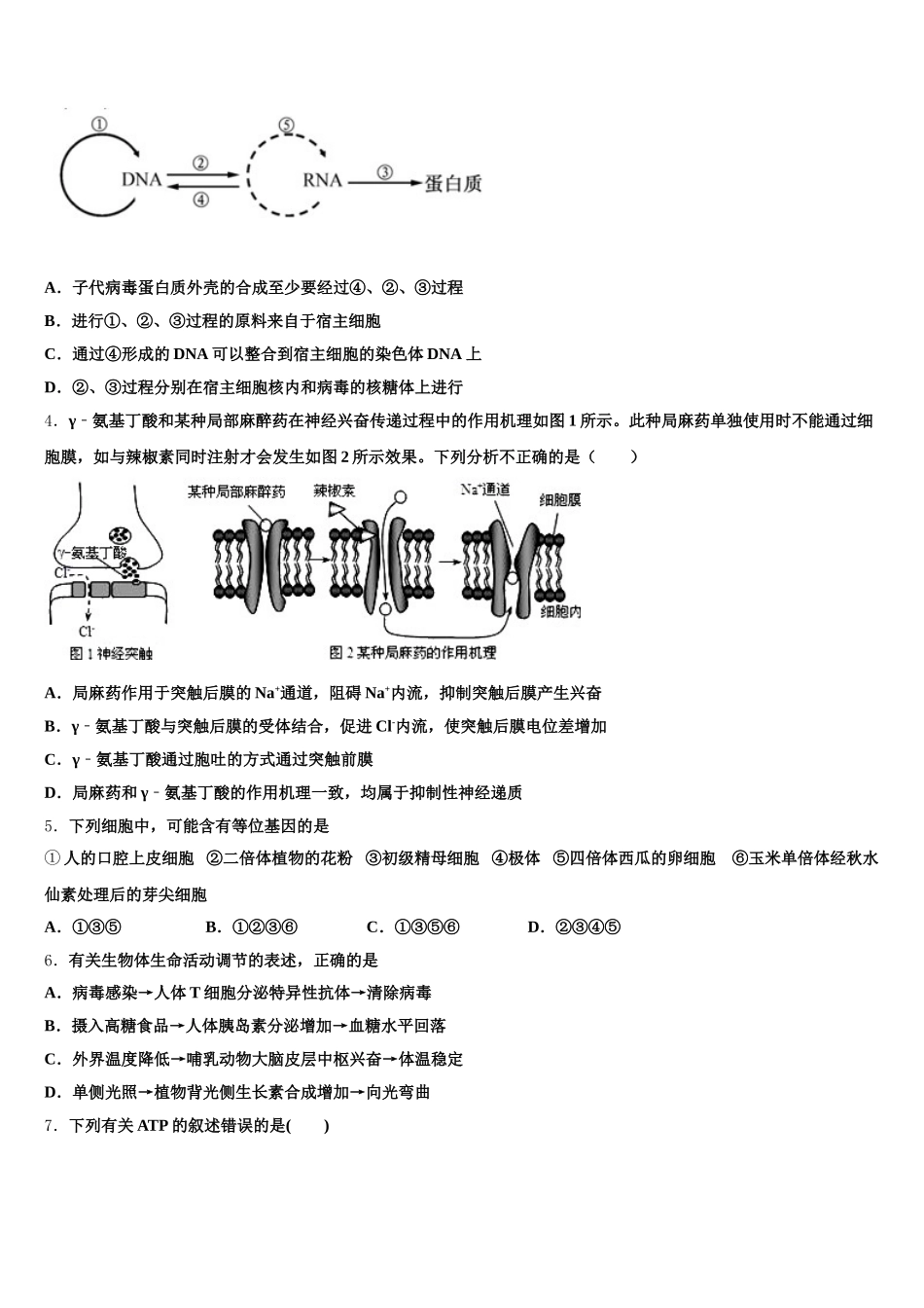 2025届江西省临川二中、新余四中高一生物第二学期期末学业质量监测试题含解析_第2页