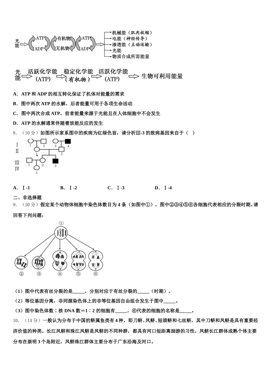 2025届江西省临川二中、新余四中高一生物第二学期期末学业质量监测试题含解析_第3页