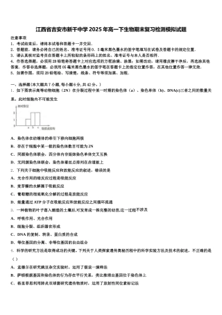 江西省吉安市新干中学2025年高一下生物期末复习检测模拟试题含解析