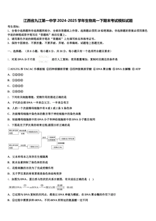 江西省九江第一中学2024-2025学年生物高一下期末考试模拟试题含解析