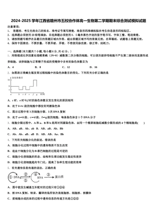 2024-2025学年江西省赣州市五校协作体高一生物第二学期期末综合测试模拟试题含解析