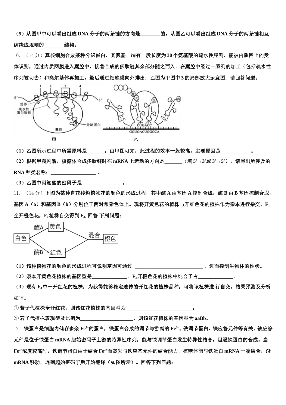 江西新建二中2025年生物高一下期末考试模拟试题含解析_第3页