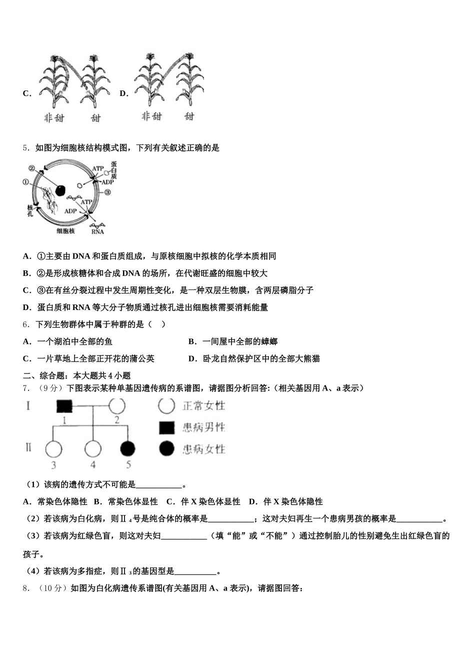 江西省南昌市八一中学、洪都中学、麻丘高中等六校2025年高一下生物期末复习检测模拟试题含解析_第2页