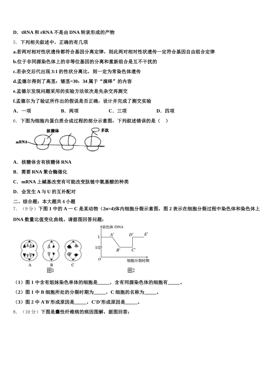 江西省赣州市会昌中学、宁师中学2025届高一下生物期末考试模拟试题含解析_第2页