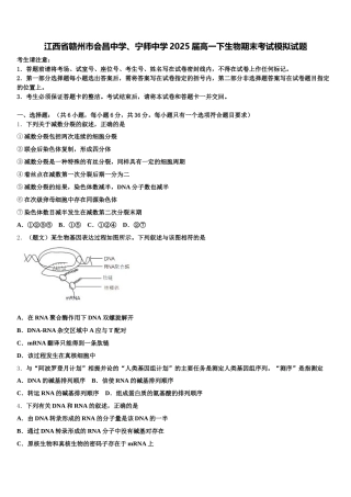 江西省赣州市会昌中学、宁师中学2025届高一下生物期末考试模拟试题含解析