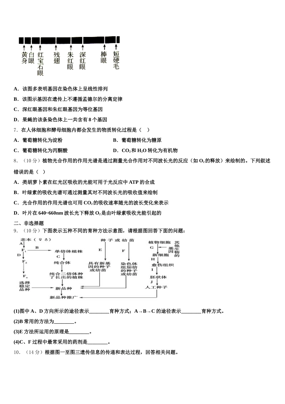 2024-2025学年江西省景德镇一中高一下生物期末综合测试模拟试题含解析_第2页